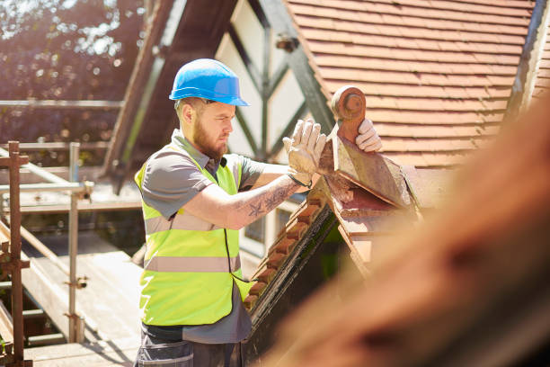 Best Storm Damage Roof Repair  in Black River, NY